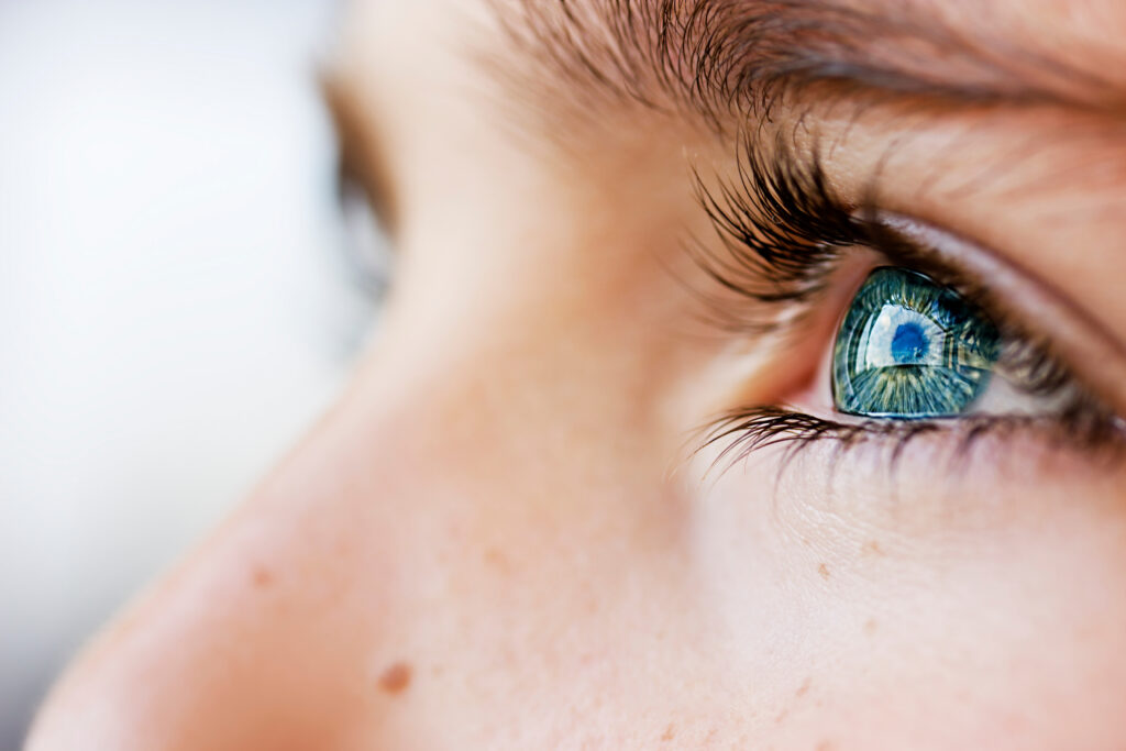 AdobeStock 94313718